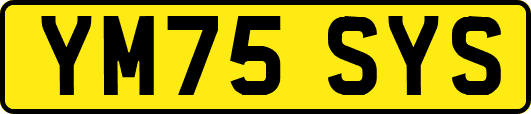YM75SYS
