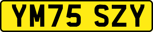 YM75SZY