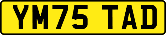 YM75TAD