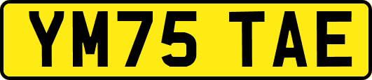 YM75TAE