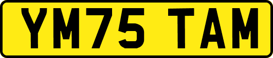 YM75TAM