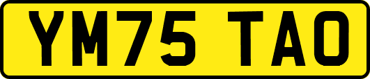YM75TAO