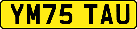YM75TAU