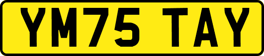 YM75TAY