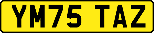YM75TAZ