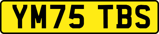 YM75TBS