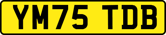 YM75TDB