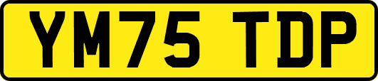 YM75TDP