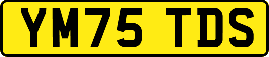 YM75TDS