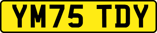 YM75TDY
