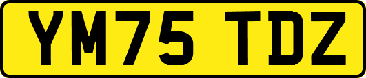 YM75TDZ