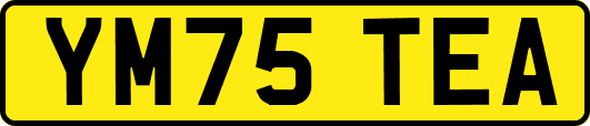 YM75TEA