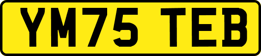 YM75TEB