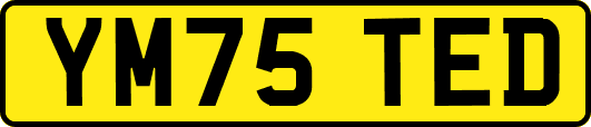 YM75TED