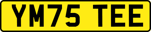 YM75TEE
