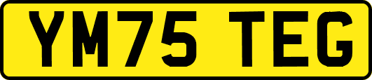 YM75TEG