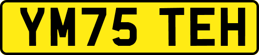 YM75TEH
