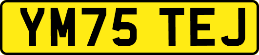 YM75TEJ