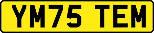 YM75TEM
