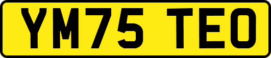 YM75TEO