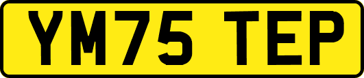 YM75TEP