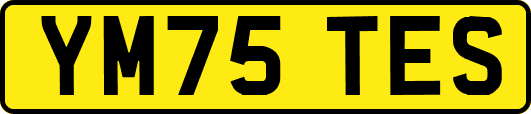 YM75TES