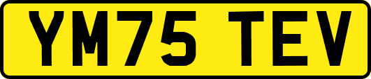 YM75TEV
