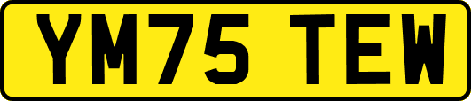 YM75TEW