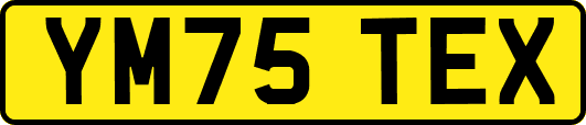 YM75TEX