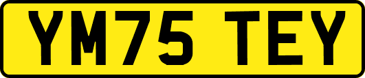 YM75TEY