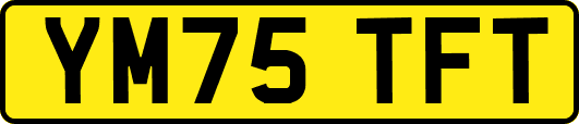 YM75TFT