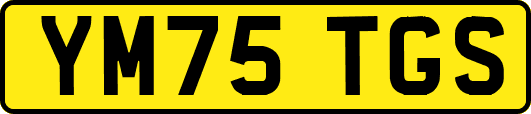 YM75TGS