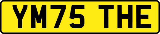 YM75THE