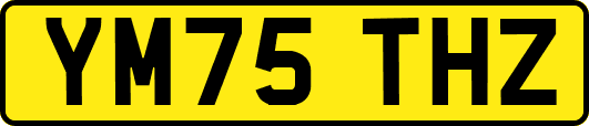 YM75THZ