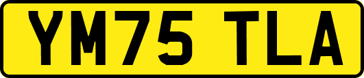 YM75TLA