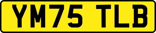 YM75TLB