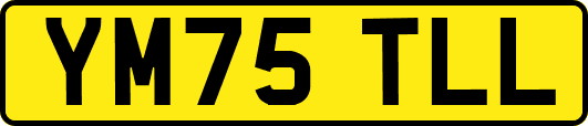 YM75TLL