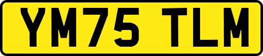 YM75TLM