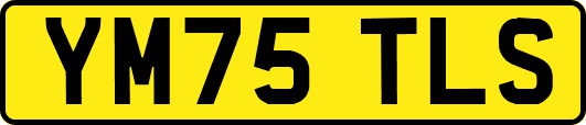 YM75TLS