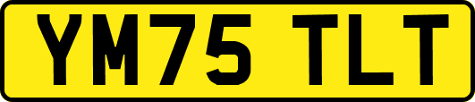 YM75TLT