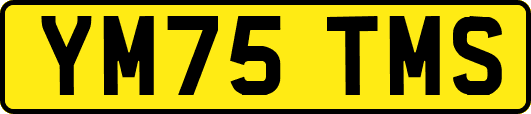 YM75TMS