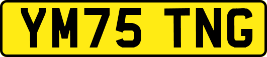YM75TNG