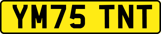 YM75TNT