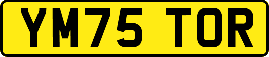 YM75TOR