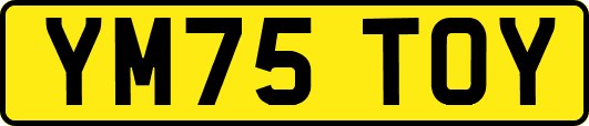 YM75TOY