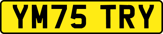 YM75TRY
