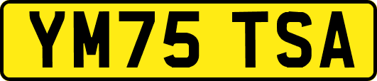 YM75TSA