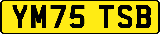 YM75TSB