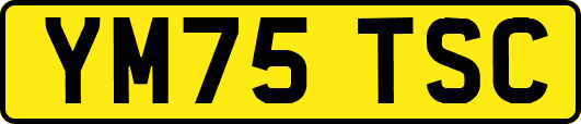 YM75TSC