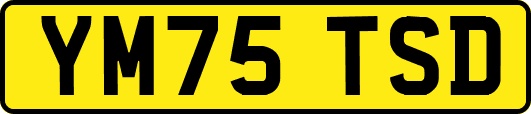 YM75TSD